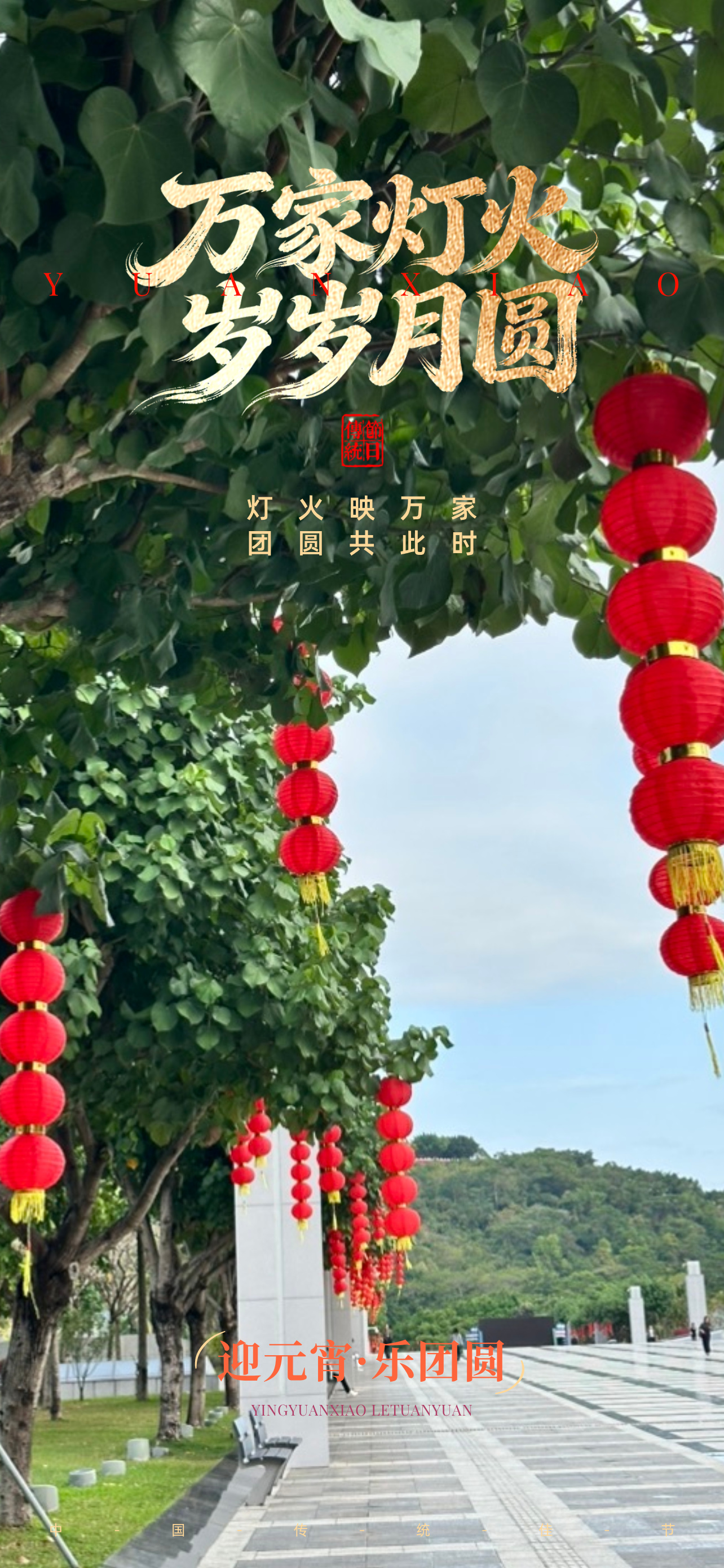 鹏城灯火，照不亮的故乡月